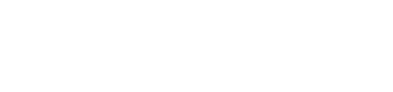Transparent Logo